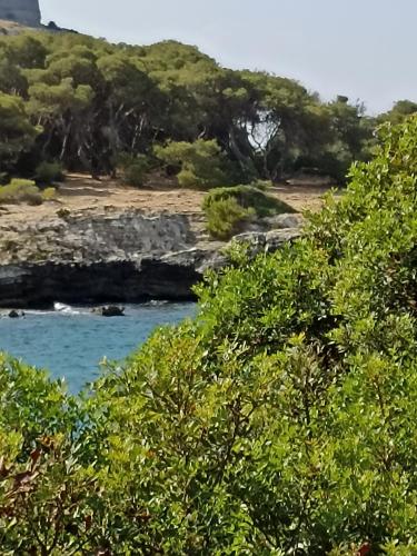 SALENTO MARE E ARTE, Nardò (fotografie 10)