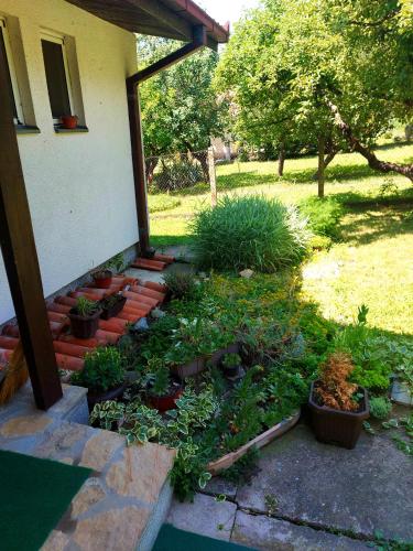 Klinačka priča - image 6