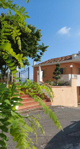  Tenuta dei Biondi Ulivi B&B in Belvedere Marittimo