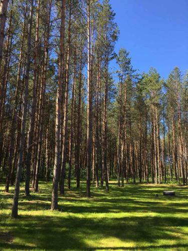 Reinholdi puhkemaja