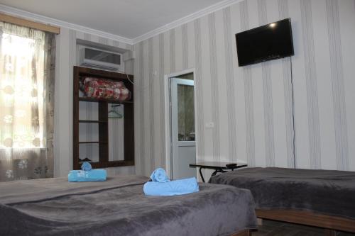 Guest house Maspindzeli in Tsqaltubo