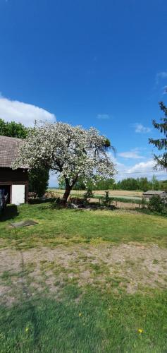 Mazurska przystań (Mazurska przystan) in Даброва