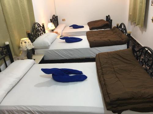 Dahab Home bed&breakfast Room Type - Standard Triple Room