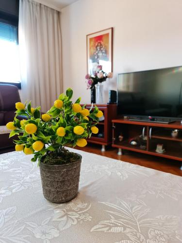 Family Apartment Ivanovic, Skopje (Foto 8)