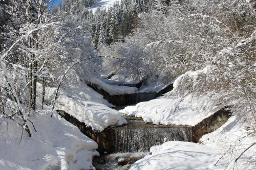 Bad Bergfallerhof - image 4