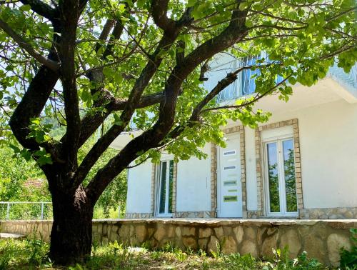 Guest House Ivano - image 10