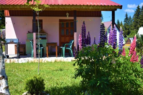 Šepić Accommodation - image 13