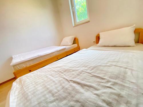 Guest House Ivano - image 6