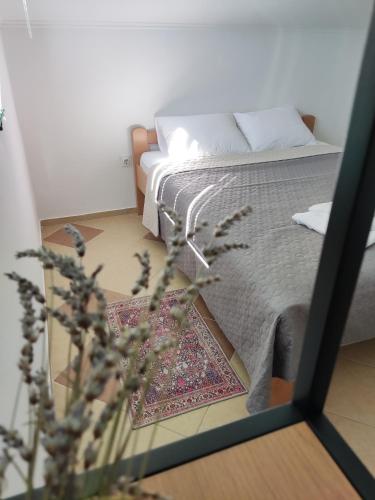 Montenegro Colors Kamenari in Josice