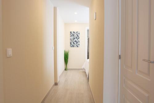 One-Bedroom Apartment image 10