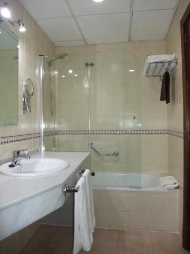Hotel San Miguel, Кордова (фото 11)