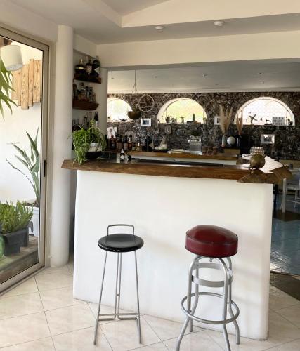 Black Market Hotel - main image