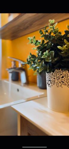 Cadore apartment Cadore apartment