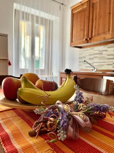 Cadore apartment Cadore apartment