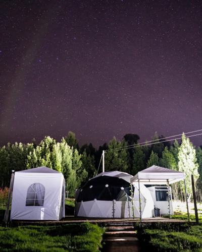 . Glamping Irlanda