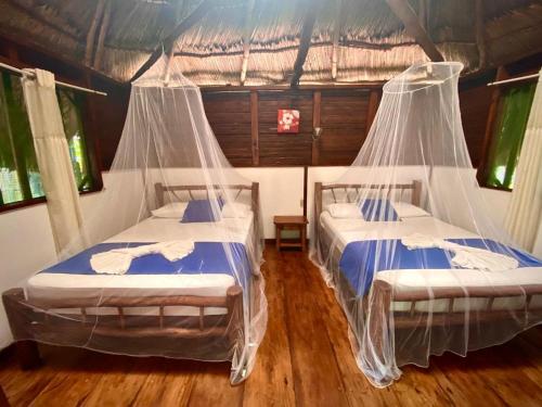 Casa de la Iguana in Livingston