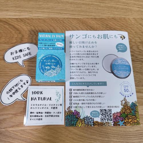 3ベッド3バス ヴィラアパラギ宮古島, Miyakojima (foto 8)
