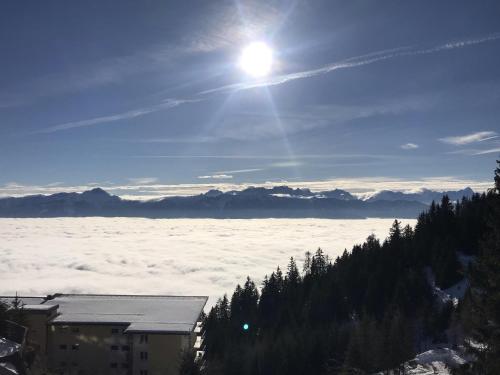  Apartment sunny mountains in Treffen
