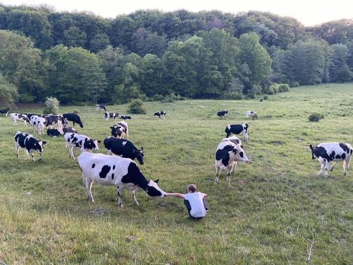 レーヴスタ Cottage on unique farm 4つ星 シングルルーム 眺望