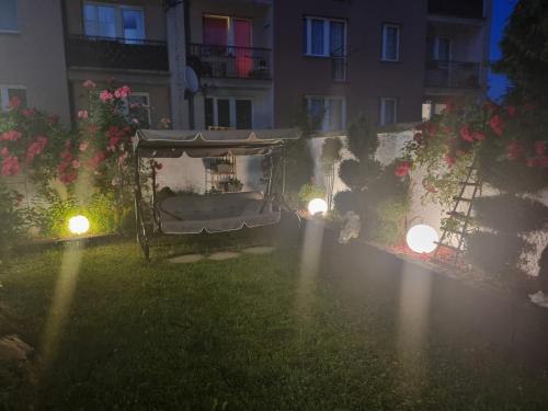 Vasco, Racibórz (foto 9)