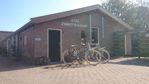 Stal Zwartschaap - image 2