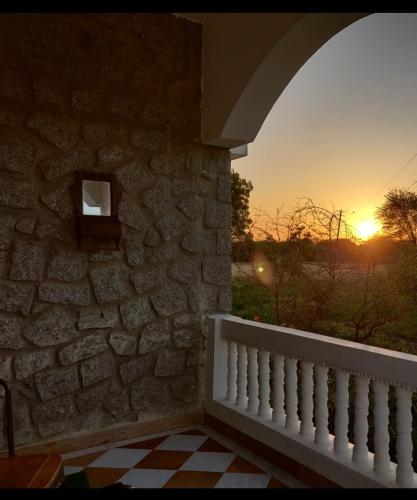 Vriksh Jawai The farm stay photo