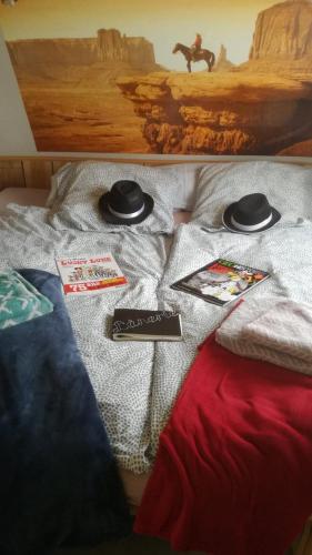 L'ânerie gîte à louer Cahagnes