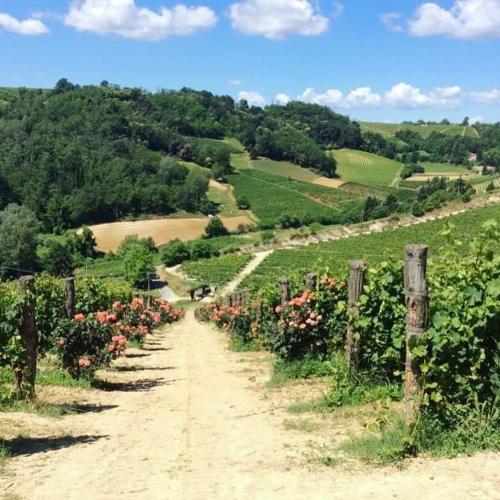 Cascina Valtignosa Camere Con Vigna