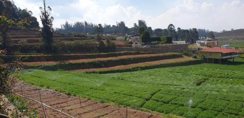 Ooty Farm House