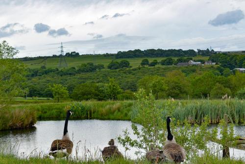 Derecroft Glamping Luxury Lodgepods