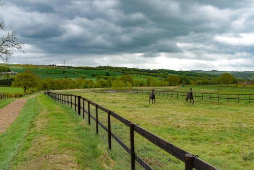 Derecroft Glamping Luxury Lodgepods