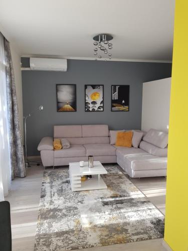 . Alex Apartman