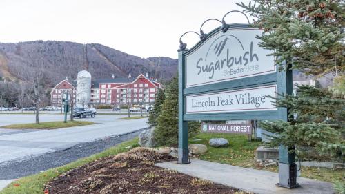 Sugarbush Mountainside Loft Condo - main image