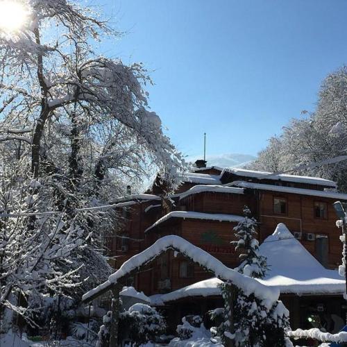 Yazicilar Hotel - image 13