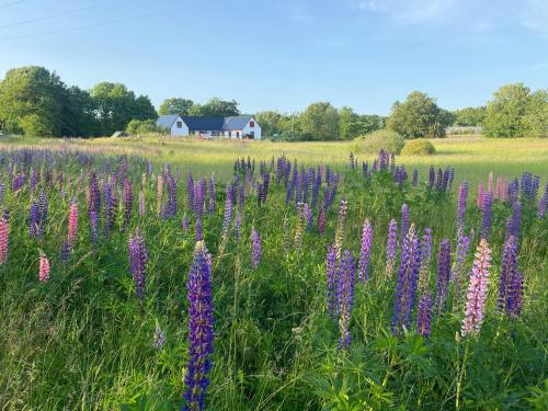 A szálláshely kívülről, Rönnebröd Guesthouse (Ronnebrod Guesthouse) in Sankt Olof