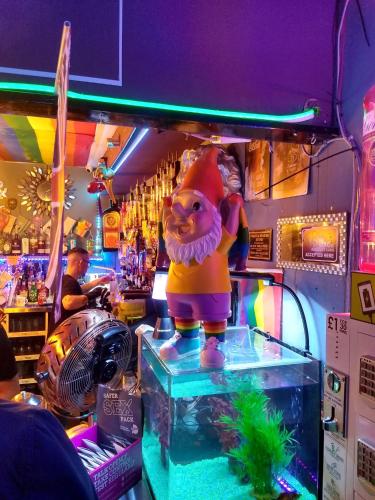 Mardi Gras Hotel - image 12