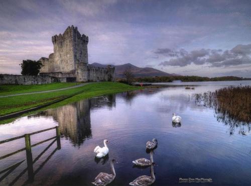 Kathleens Country House - image 10