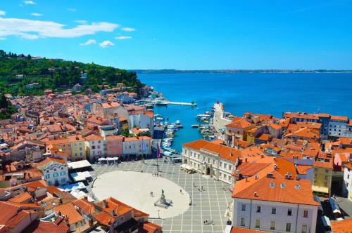 Pristine One-Bedroom Apartment in Piran IRED