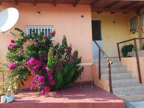 Silver City in Plaka Dilesi