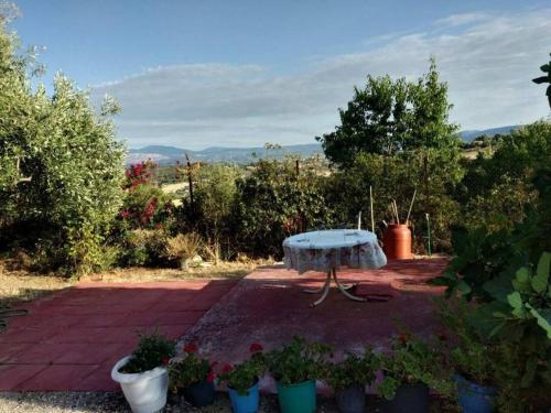 Silver City in Plaka Dilesi