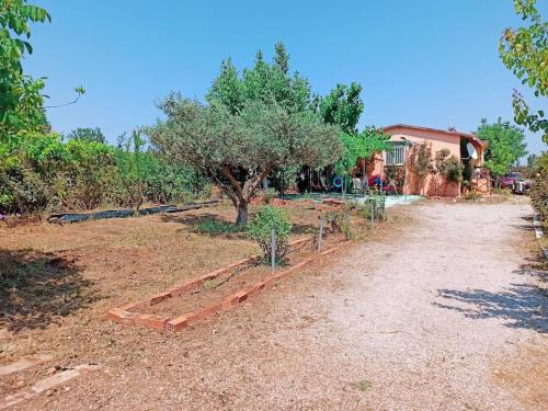 Silver City in Plaka Dilesi