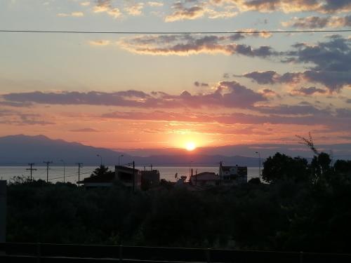 Solar Suites in Thassos