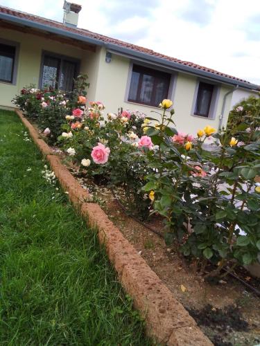  B&B Fili d´erba in Farra dʼlsonzo