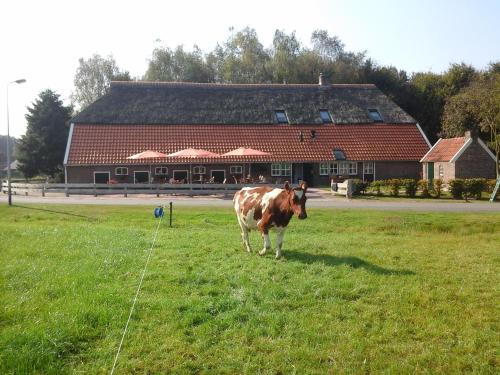 Facilities, B&B De Luttikhoeve in Ommen