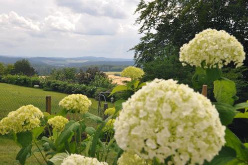 Panorama Garten-Apartment in Marburg