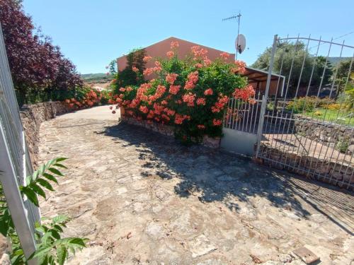 Casa guascari 2