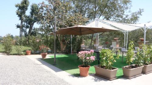 Cà del Crutin – Monteu Roero, NY