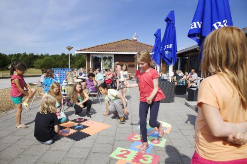 Sier aan Zee - image 14