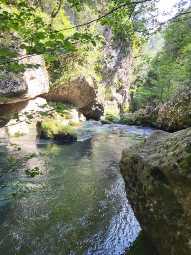 Gîtes chez Daniel "Cevennes 2"