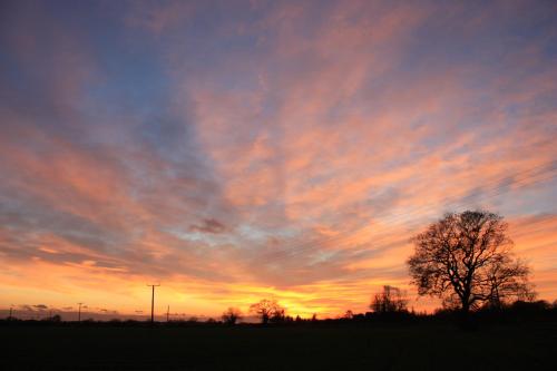 Puttocks Farm – Great Dunmow